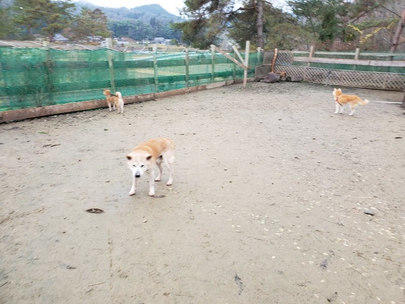 f:id:roukenhome-ann:20191224182841j:plain