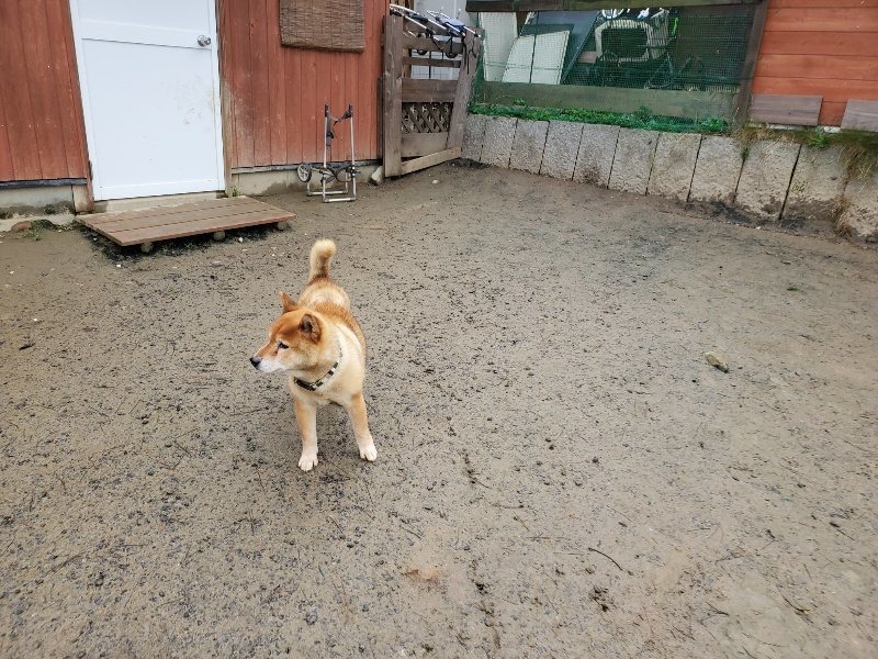 f:id:roukenhome-ann:20191224182847j:plain