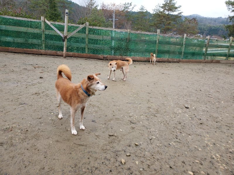 f:id:roukenhome-ann:20191224182900j:plain
