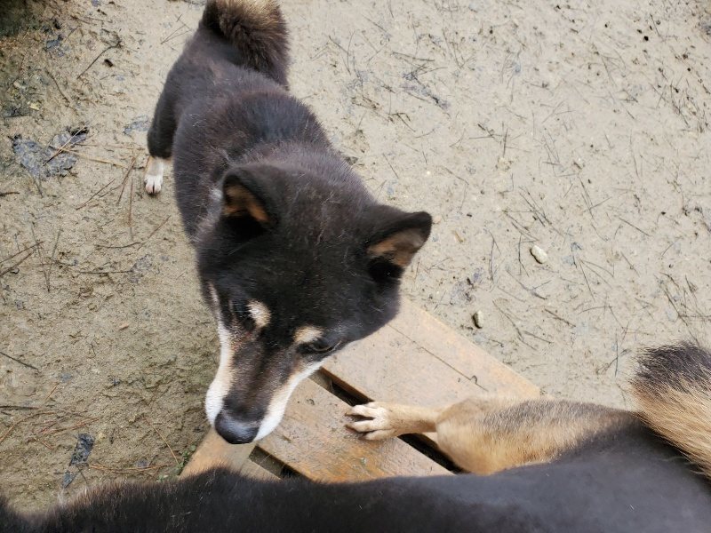 f:id:roukenhome-ann:20191224182934j:plain