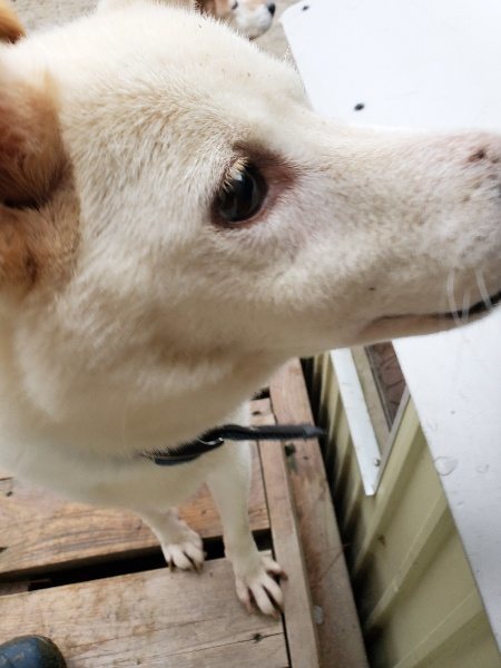f:id:roukenhome-ann:20191224182943j:plain