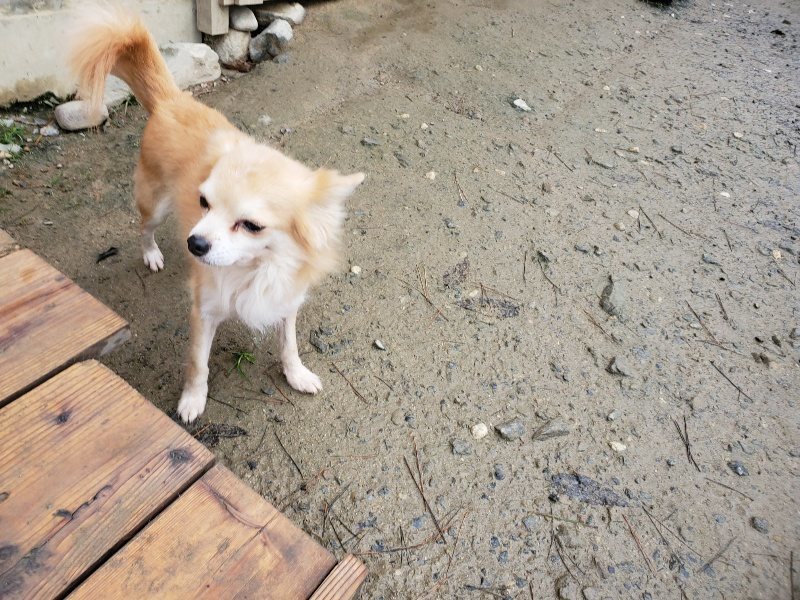 f:id:roukenhome-ann:20191224183009j:plain