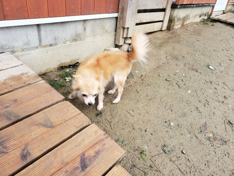 f:id:roukenhome-ann:20191224183018j:plain