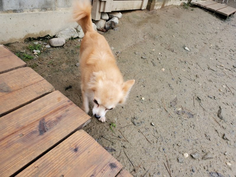 f:id:roukenhome-ann:20191224183028j:plain