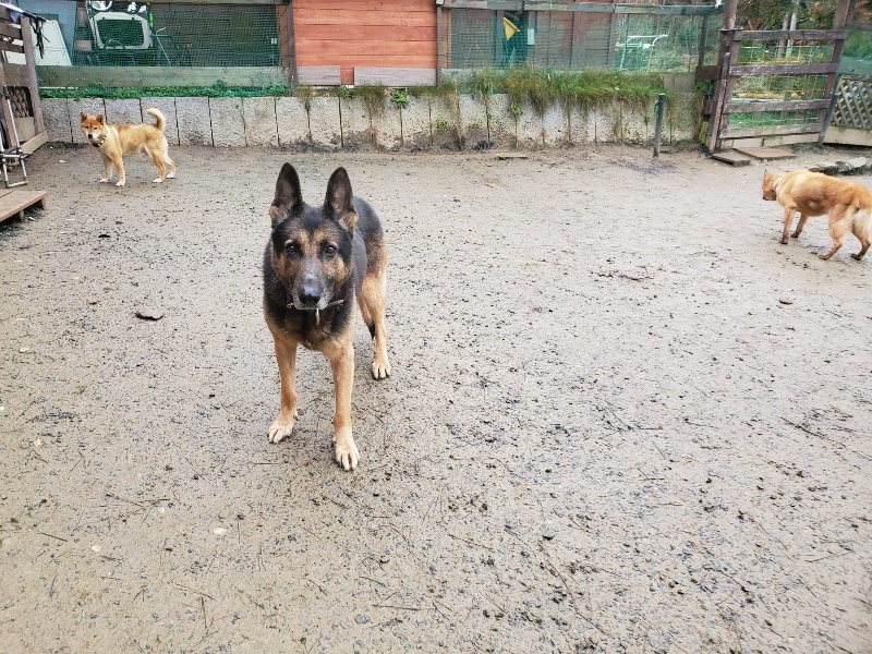 f:id:roukenhome-ann:20191224183035j:plain