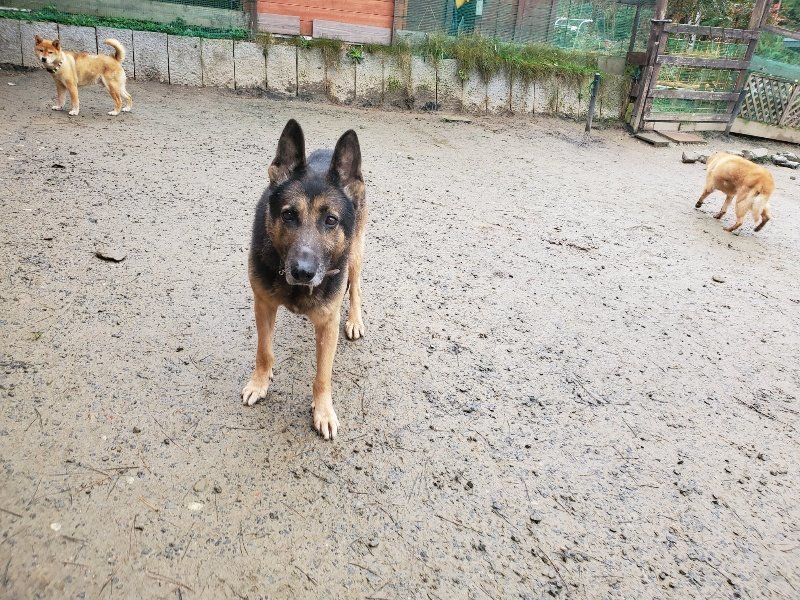 f:id:roukenhome-ann:20191224183041j:plain
