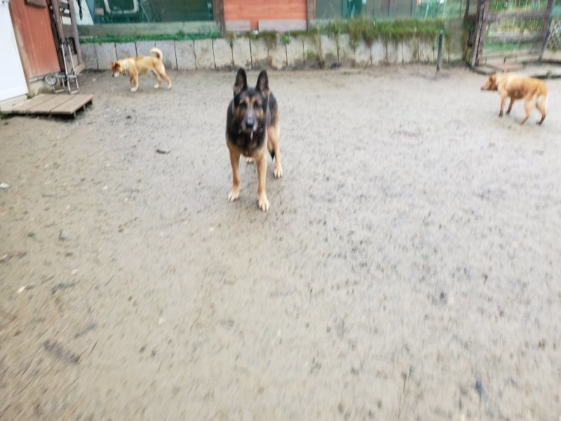 f:id:roukenhome-ann:20191224183048j:plain