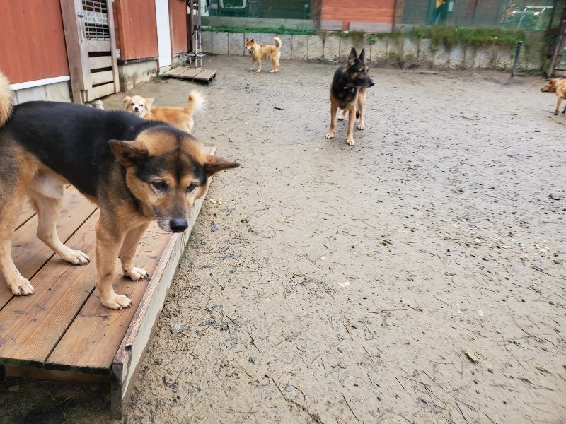 f:id:roukenhome-ann:20191224183114j:plain