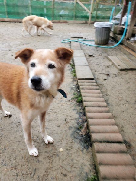 f:id:roukenhome-ann:20191224183139j:plain