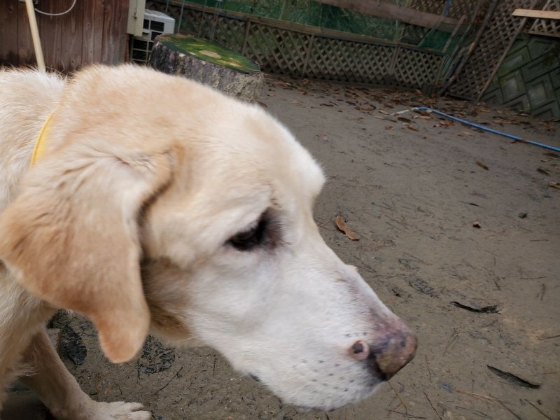 f:id:roukenhome-ann:20191224183246j:plain