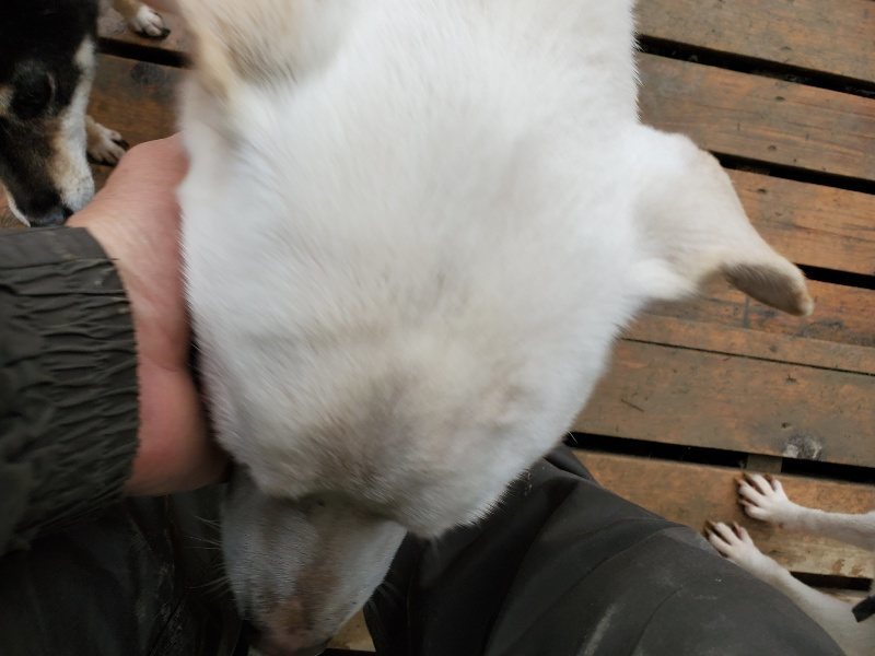 f:id:roukenhome-ann:20191224183411j:plain