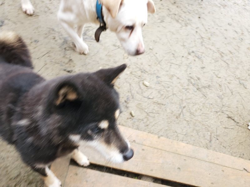 f:id:roukenhome-ann:20191224183438j:plain