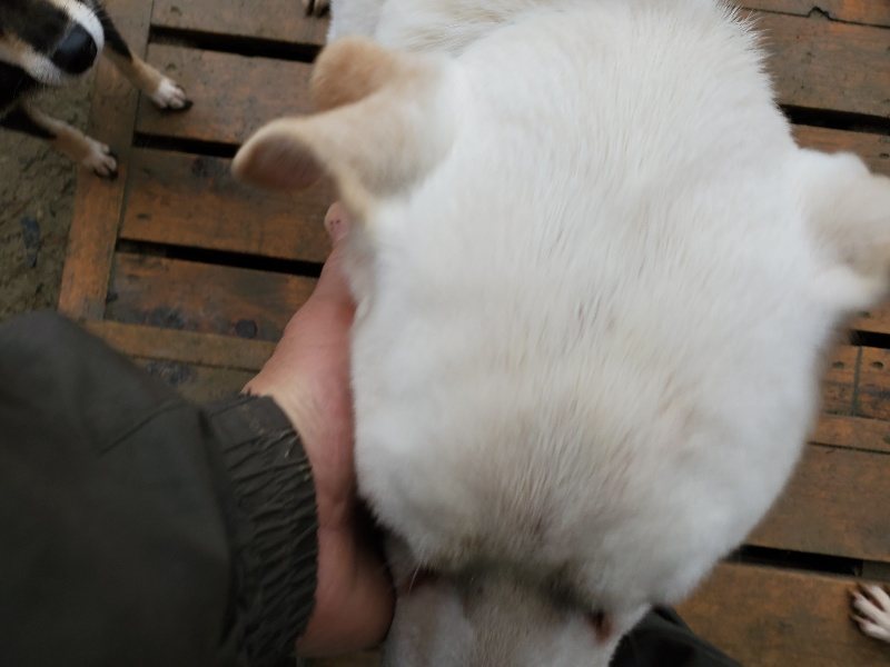 f:id:roukenhome-ann:20191224183442j:plain