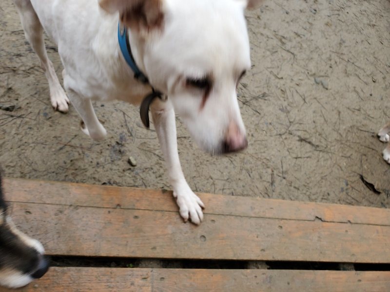 f:id:roukenhome-ann:20191224183448j:plain