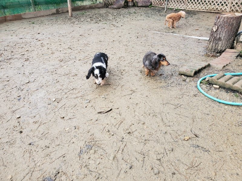 f:id:roukenhome-ann:20191224190423j:plain