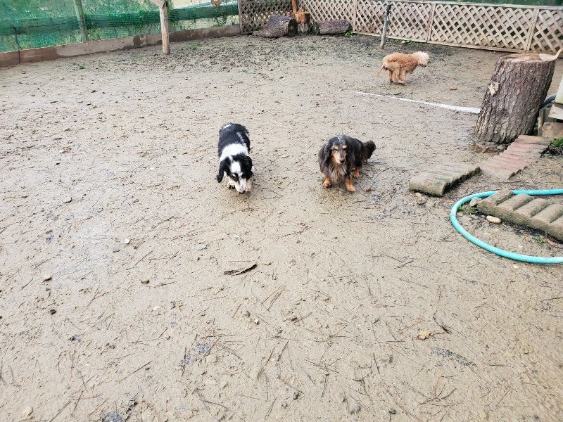 f:id:roukenhome-ann:20191224190440j:plain