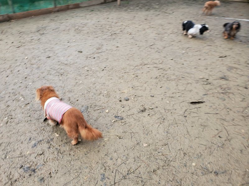 f:id:roukenhome-ann:20191224190501j:plain