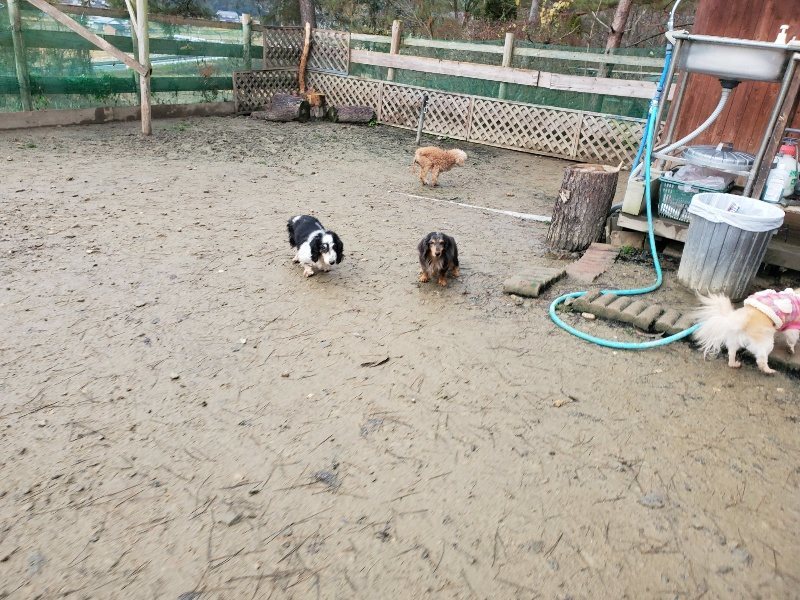 f:id:roukenhome-ann:20191224190519j:plain