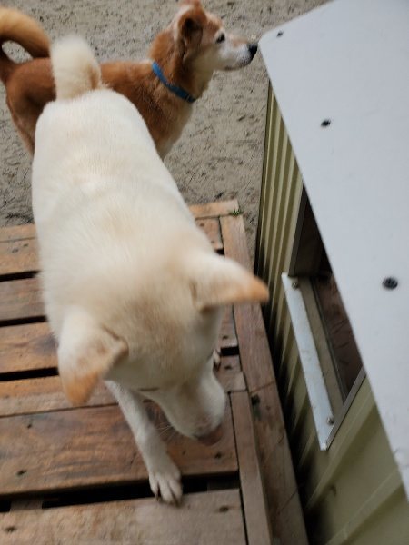 f:id:roukenhome-ann:20191224190559j:plain