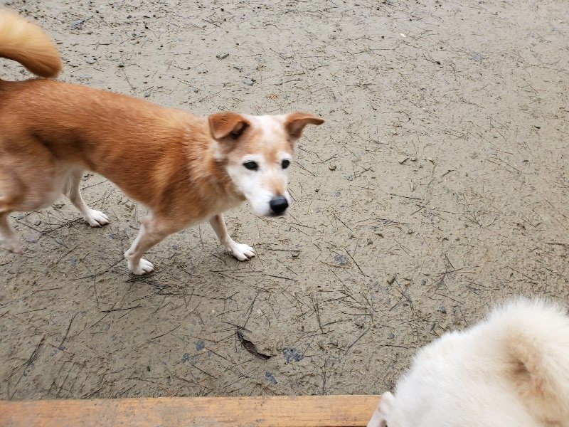 f:id:roukenhome-ann:20191224190618j:plain