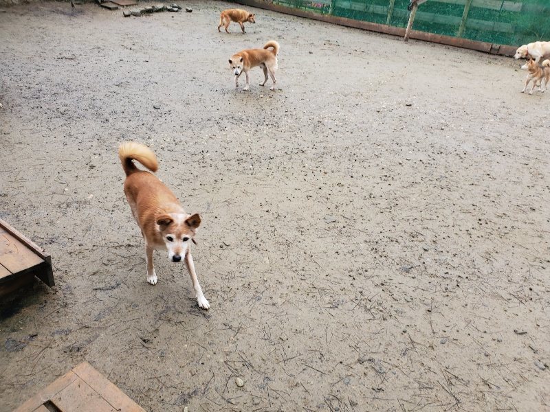 f:id:roukenhome-ann:20191224190711j:plain
