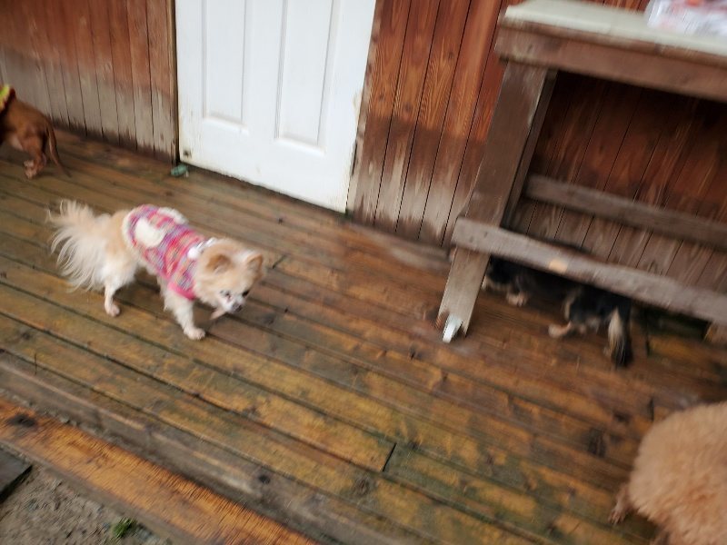 f:id:roukenhome-ann:20191224190759j:plain