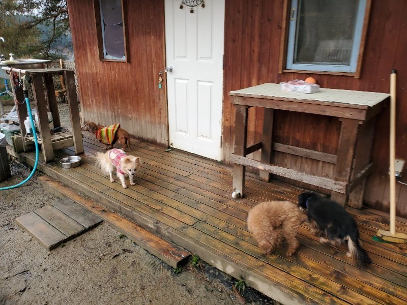 f:id:roukenhome-ann:20191224190840j:plain