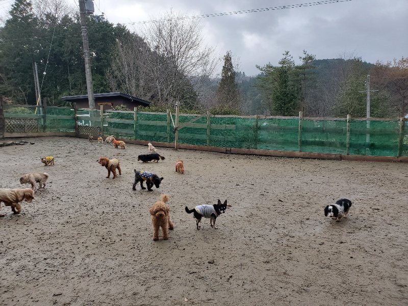 f:id:roukenhome-ann:20191224190914j:plain
