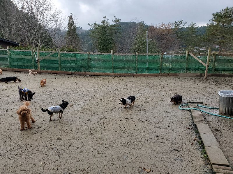 f:id:roukenhome-ann:20191224190926j:plain