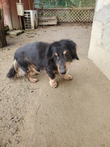 f:id:roukenhome-ann:20191224190950j:plain