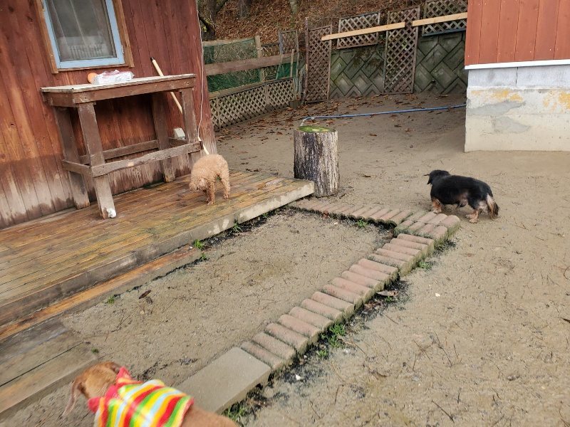 f:id:roukenhome-ann:20191224191139j:plain