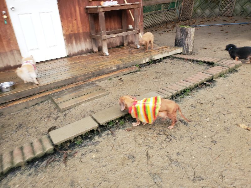 f:id:roukenhome-ann:20191224191204j:plain