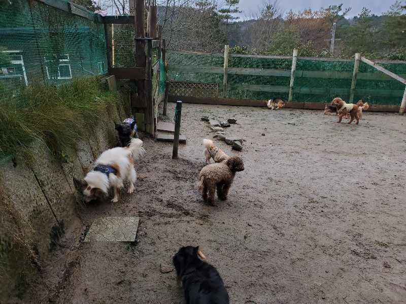 f:id:roukenhome-ann:20191224191411j:plain