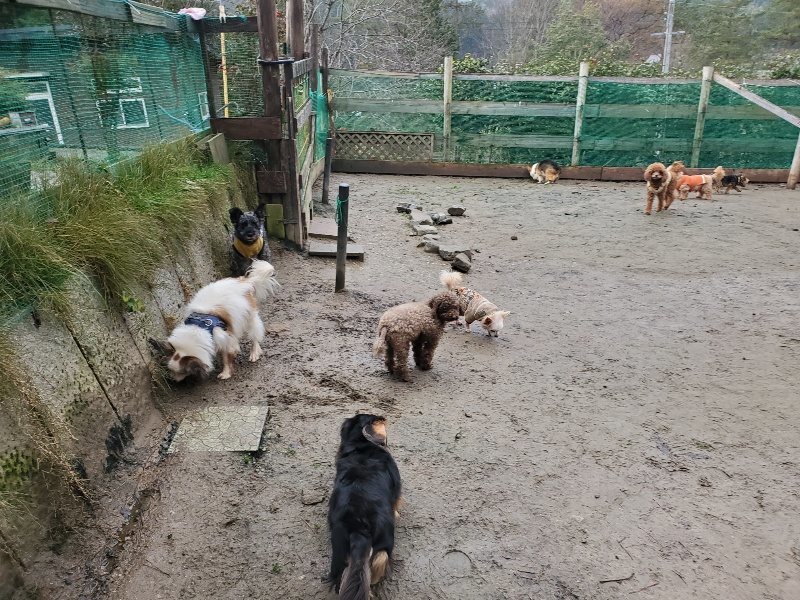 f:id:roukenhome-ann:20191224191424j:plain
