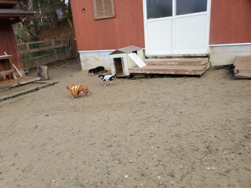 f:id:roukenhome-ann:20191224191455j:plain