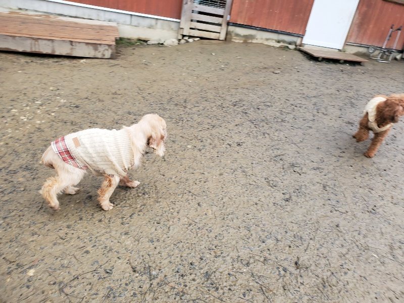 f:id:roukenhome-ann:20191224191509j:plain