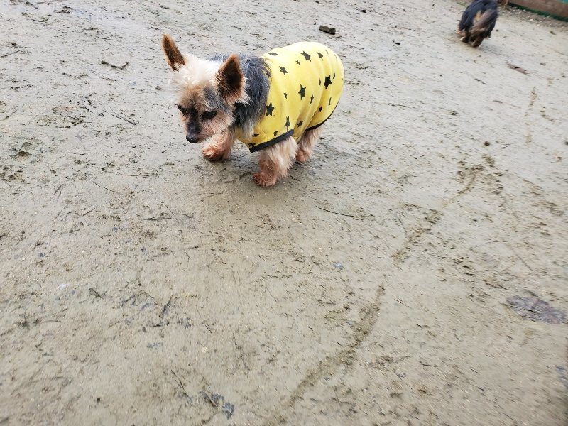 f:id:roukenhome-ann:20191224191528j:plain