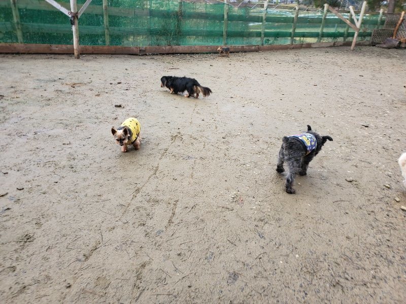 f:id:roukenhome-ann:20191224191542j:plain