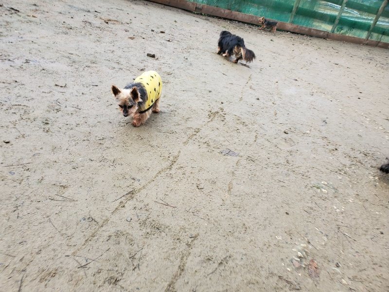 f:id:roukenhome-ann:20191224191609j:plain