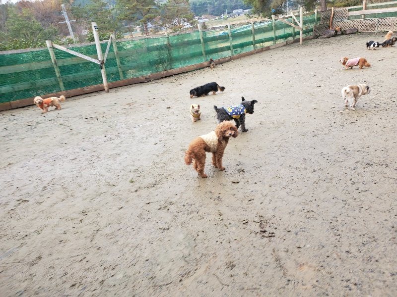 f:id:roukenhome-ann:20191224191619j:plain
