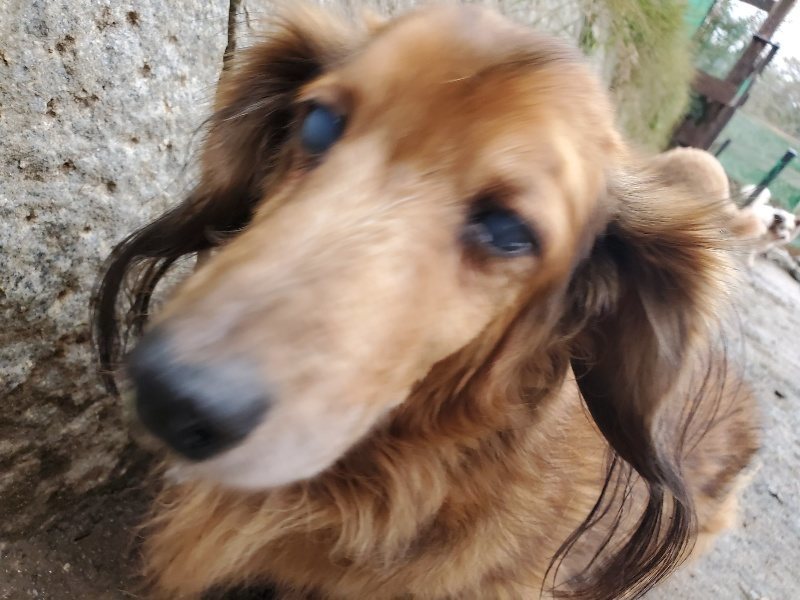 f:id:roukenhome-ann:20191224191731j:plain