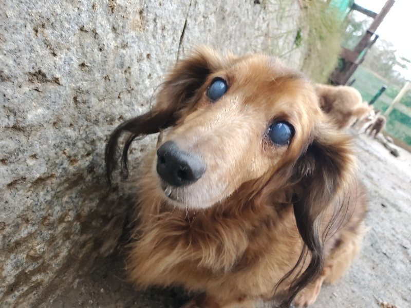 f:id:roukenhome-ann:20191224191750j:plain
