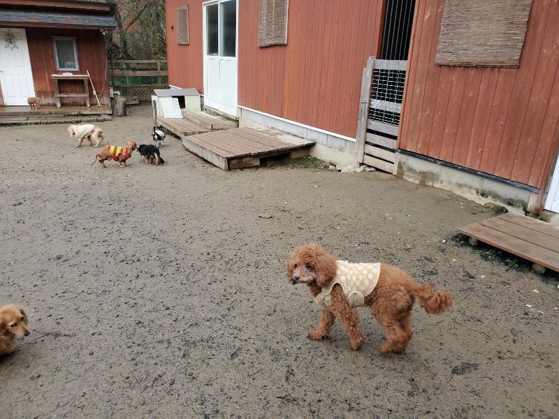 f:id:roukenhome-ann:20191224191816j:plain