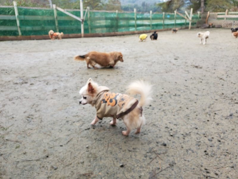 f:id:roukenhome-ann:20191224191835j:plain