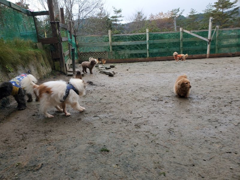 f:id:roukenhome-ann:20191224191845j:plain