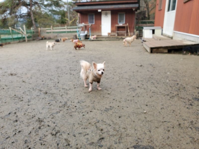f:id:roukenhome-ann:20191224191900j:plain