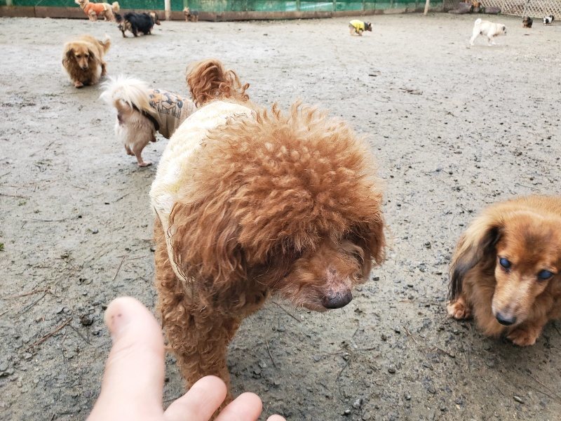 f:id:roukenhome-ann:20191224191954j:plain