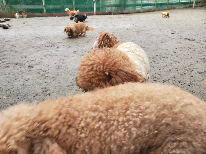 f:id:roukenhome-ann:20191224192005j:plain