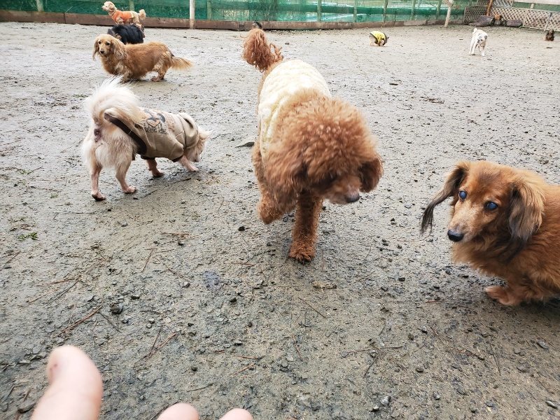 f:id:roukenhome-ann:20191224192019j:plain