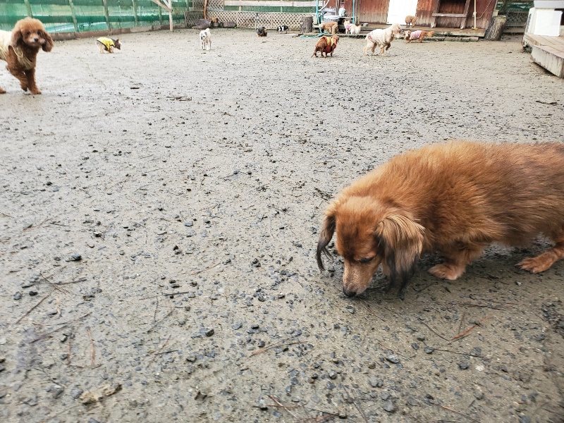f:id:roukenhome-ann:20191224192033j:plain